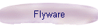 Flyware